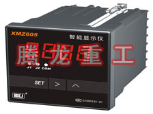 溫度表、數(shù)字顯示儀、濕度表