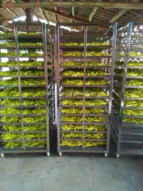 黃花菜烘干機(jī)、黃花菜烘干設(shè)備、黃花菜干燥機(jī)、黃花菜干燥設(shè)備、